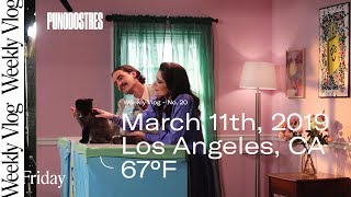 My cat booked a commercial!