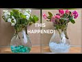 AMAZING RESULTS!/WATER ROOTS AND BLOOMS 