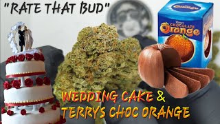 Wedding cake strain and Terry chocolate orange strain (quick look 4k) #ukweed #420 #strains