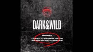 [Full Audio] BTS (Bangtan Boys) - 그게 말이 돼 [Outro] - Dark and Wild [2014]