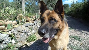 Hawkeye Firefly 8S (90° Version) 4K Video Quality Test