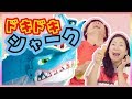 ドキドキ シャーク！おもちゃゲーム！はなちゃんもびっくり！ / dokidoki shark attack toy game for kids