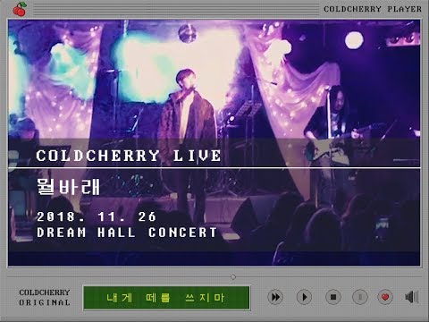 차가운 체리(Band COLDCHERRY) 라이브클립 - 뭘바래 리릭비디오(Lyric video)