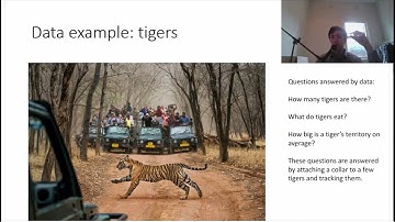 Collecting and classifying data (year 7)