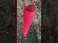 Yeni dikilen fidanları dona karşı nasıl koruyabiliriz