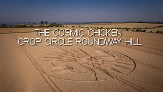 The Cosmic Chicken Crop Circle | Roundway Hill Devizes Wiltshire | 11/07/26