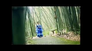 lagu tapsel versi india bunga harangan suraz ft ayu