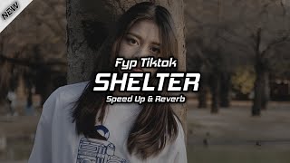 DJ Shelter [ Speed Up & Reverb ] 🎧