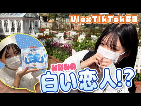 【北海道】二日目はみなみオリジナルクッキー！？【VlogTikTok】〜後編〜