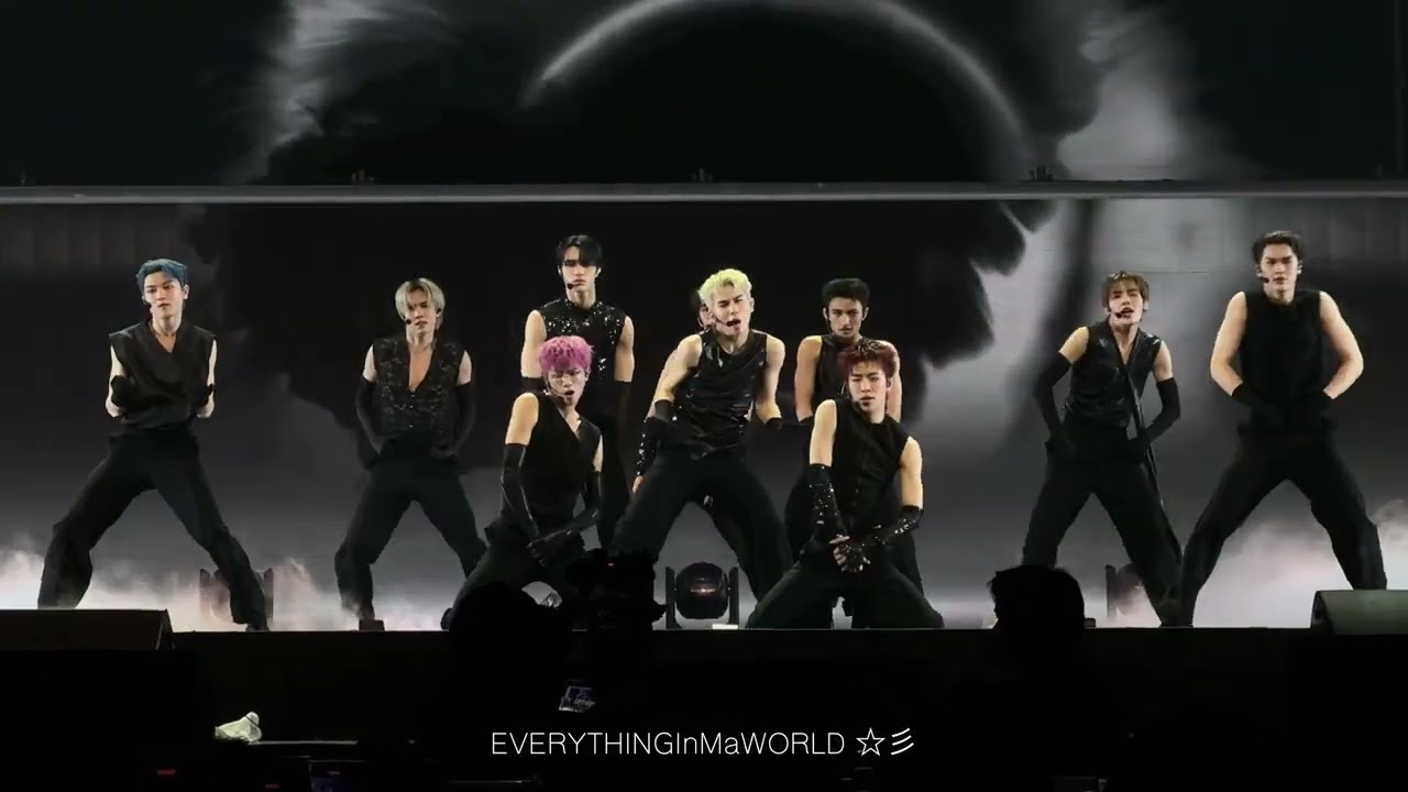 Black Swan (BTS) Cover By Dice [4K] @BirthdayButWithDice | 190325