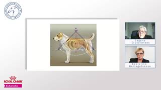 Russian national breeds: 4. Sredneasiatskaya ovtcharka | Responsible Breeding Online