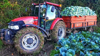 Başak Batirdi Case Çikartiyor