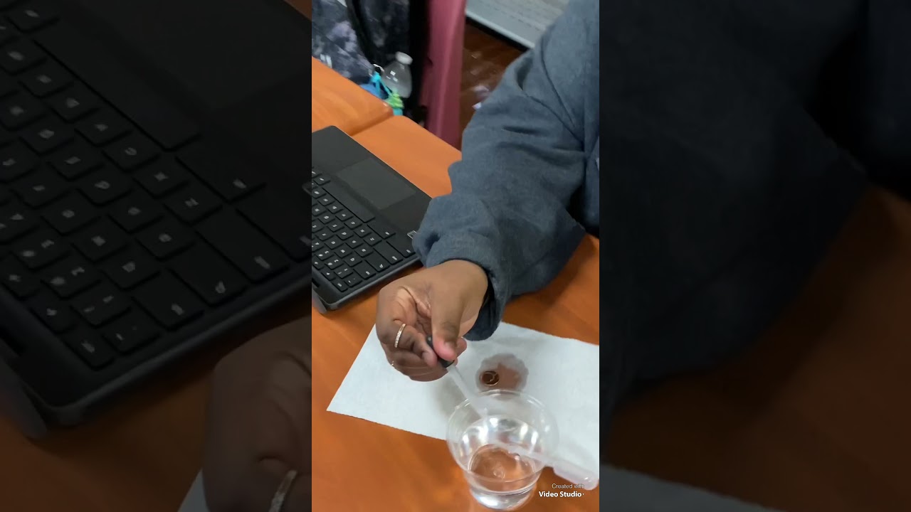 Morehouse School Teacher of the Year 2022 Ashley Allen YouTube