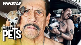 Acting LEGEND Danny Trejo Is OBSESSED With His Dogs & Car Collection 🙌
