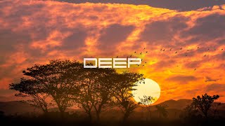 DEEP XXVIII [Rüfüs Du Sol, Ben Böhmer, Hel:slowed, Estiva, Elderbrook and more] by markQ