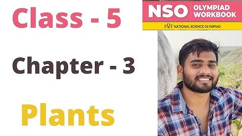NSO~ National Science Olympiad | Class - 5 | C - 3 | Plants | By - Sudhir Sir