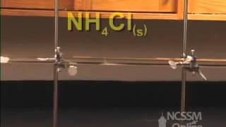 Actividad 9 - 5 - Diffusion of NH3 and HCl (Engl)