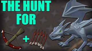 I Spent 10 HOURS Killing Rune Dragons (GIM Ep. 43)