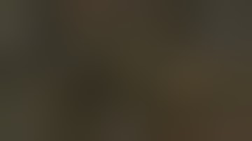 Bless Unleashed "Sundered Sanctuary" 1st boss Berserker POV