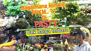 Pasar PASTY Jogja,survey harga terbaru selama PPKM Agustus 2021