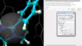 Receptor Grid Generation - Setting Positional Constraint and NOE Constraints