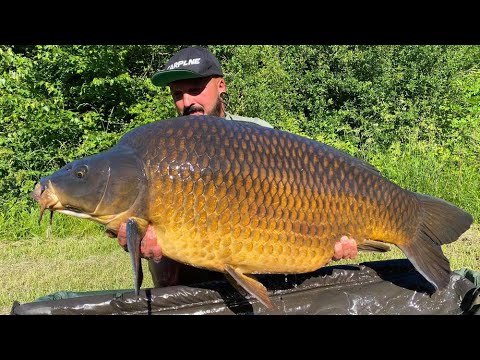 The Carpy Cast - Juli 2022 - Neuer BIG-FISH See und Traumsession am Dragon Island