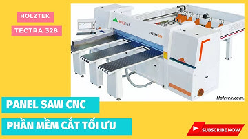 Máy cưa panel saw cnc Holztek  + bàn nâng đưa phôi tự động
