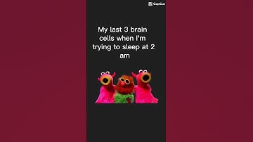 My last 3 brain cells when I’m trying to sleep at 2 am 🤣 #braincells #nosleep #2amthoughts #2am