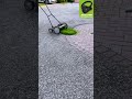 🌿 The Little Lawn Chronicles: The yard your dad dreams of.