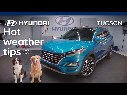 4 consejos de Hyundai para reducir el calor en el coche