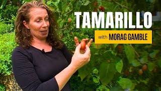 A Most Underrated Harvest in a Permaculture Garden?