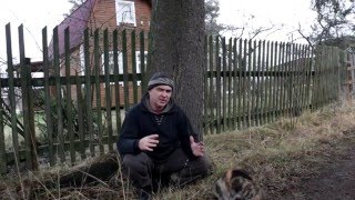 Локальное управление погодой. Локальное управление погодой.