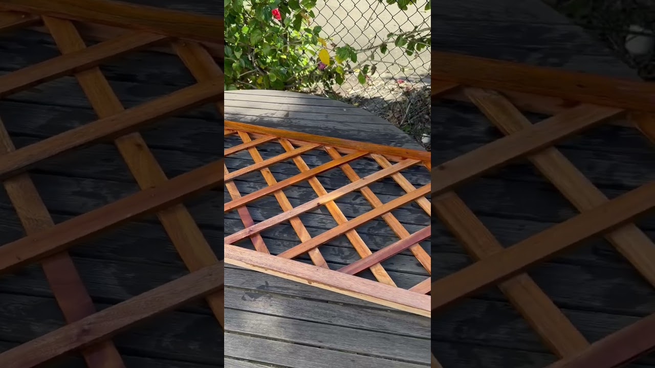 Applying Gilly’s Alfresco Timber Oil to an outdoor timber archway! ❤️‍🔥