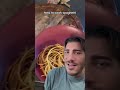 Comment ne pas cuire des spaghettirecette cuisine ptes degustation bolognaise italie