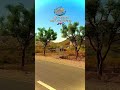 #roadtrip #shorts #travel #churu #rajasthantravel