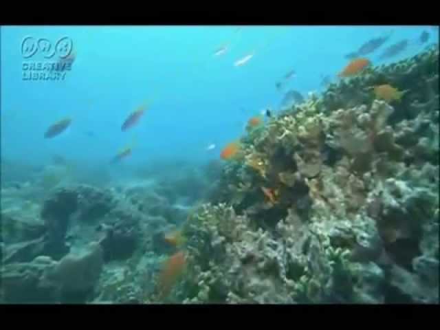 夏土産中島みゆき