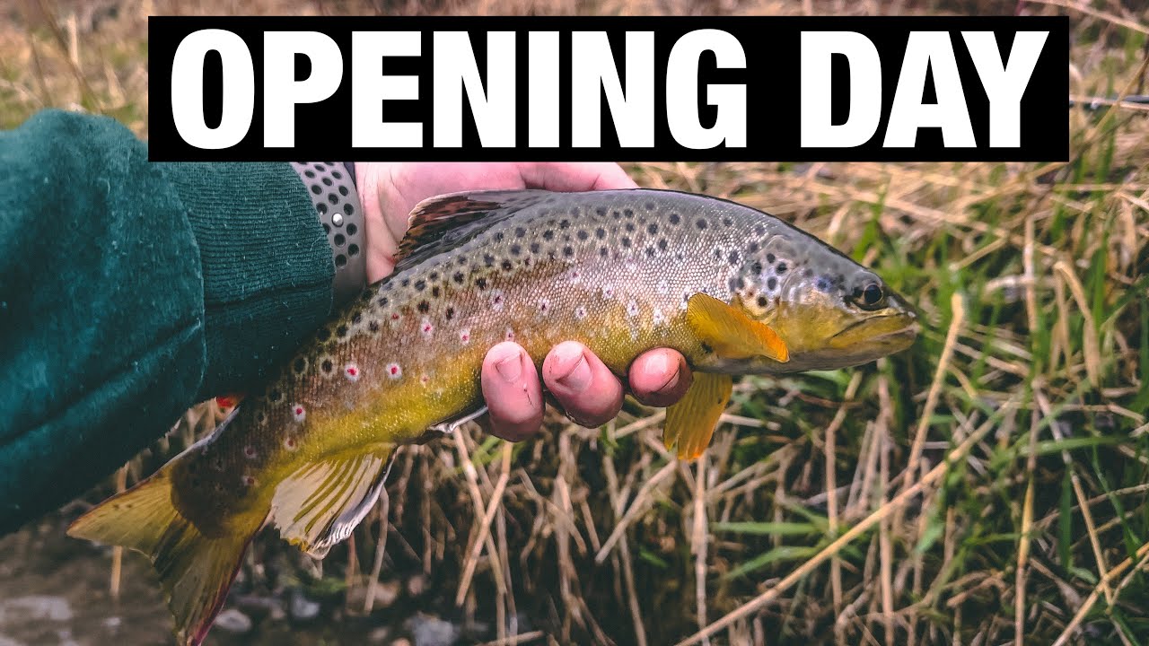 Opening Day Of PA Trout Season 2023 YouTube