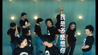豐華歌手-我是多麼想你