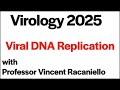 Virology Lectures 2025 8 Viral DNA Replication Virology Lectures 2025 8 Viral DNA Replication