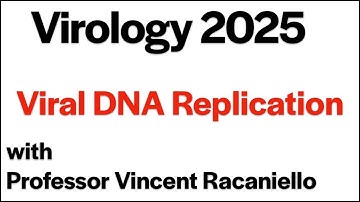 Virology Lectures 2025 #8: Viral DNA replication