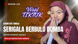 Serigala Berbulu Dumba  Cover Adhwa  Album Evie Tamala