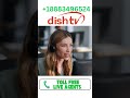 dish network USA +18883496524 dish network phone No. | dish network phone number