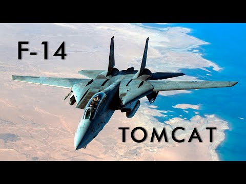Aviones que cambiaron el Mundo| F-14 Tomcat