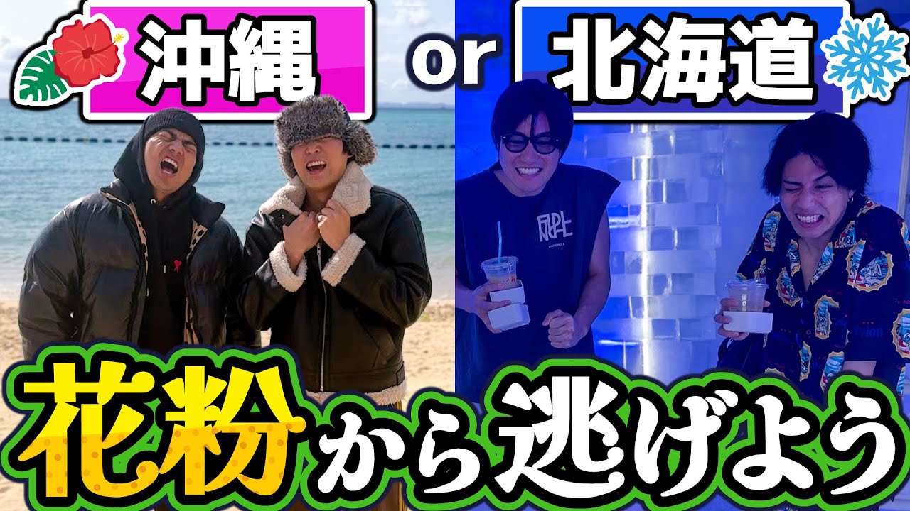 花粉症が辛いので東京から離れます
