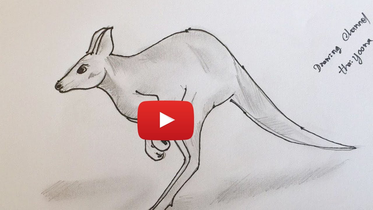  Drawing 3 animals with pencil drawing videos pencil drawing drawing 