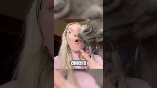 GROOT nieuws voor Teddy… 🐴❤️