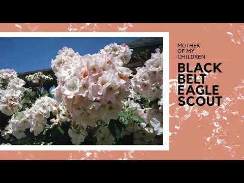 Black Belt Eagle Scout - Just Lie Down [Official Audio]