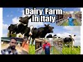 ਇਟਲੀ ਚ ਡੇਅਰੀ ਫਾਰਮ ਦਾ ਕੰਮ / Italy ch dairy farm da kam