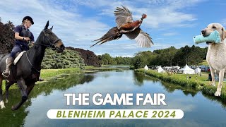 The Game Fair 2024 at Blenheim Palace | The Best Bits