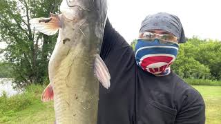 Sonnys Triple SSS Catfish Dip Bait Cheese/Blood Baits